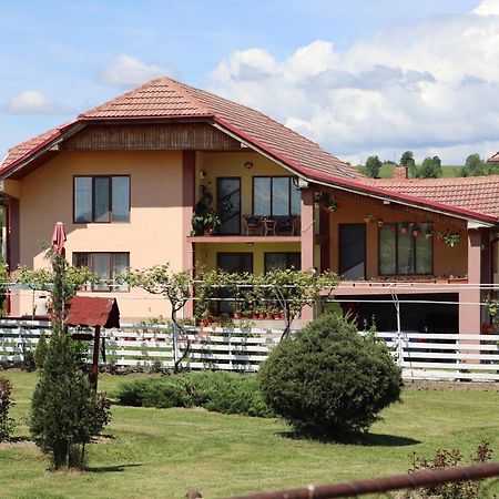 Hotel Casa De Vacanta Madalina Novaci-Străini Exteriér fotografie