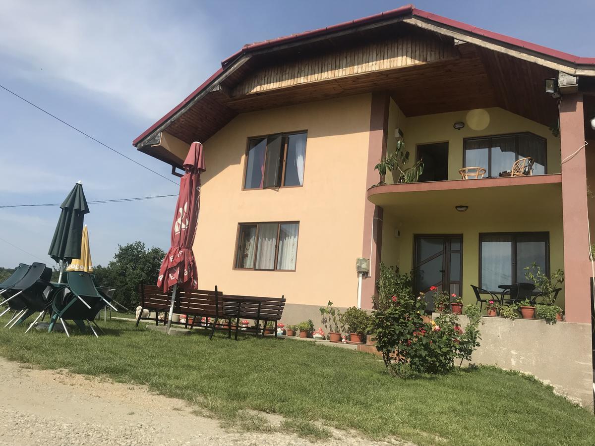 Hotel Casa De Vacanta Madalina Novaci-Străini Exteriér fotografie