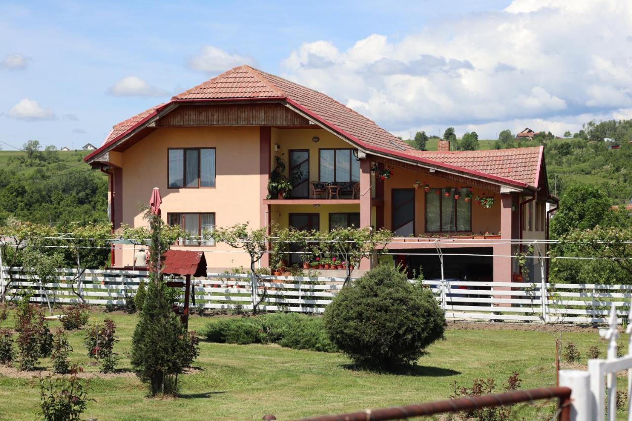 Hotel Casa De Vacanta Madalina Novaci-Străini Exteriér fotografie